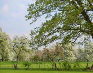 foto alden5._wandelaars_ab